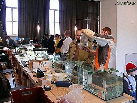 5. akva burza