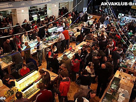10. akva burza