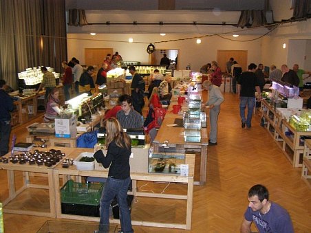 13. akva burza 