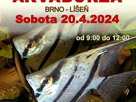 46. akva burza